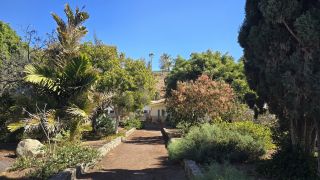 GC-Parque Botanico de Maspalomas 2025-028.jpg